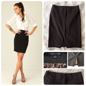 Brown Express Skirt, leopard lining, sz 0